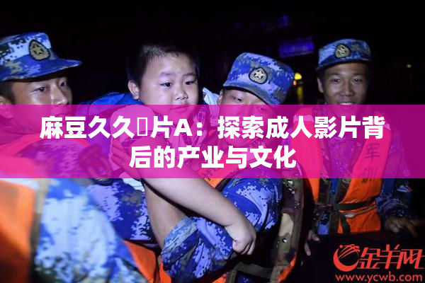 麻豆久久婬片A：探索成人影片背后的产业与文化