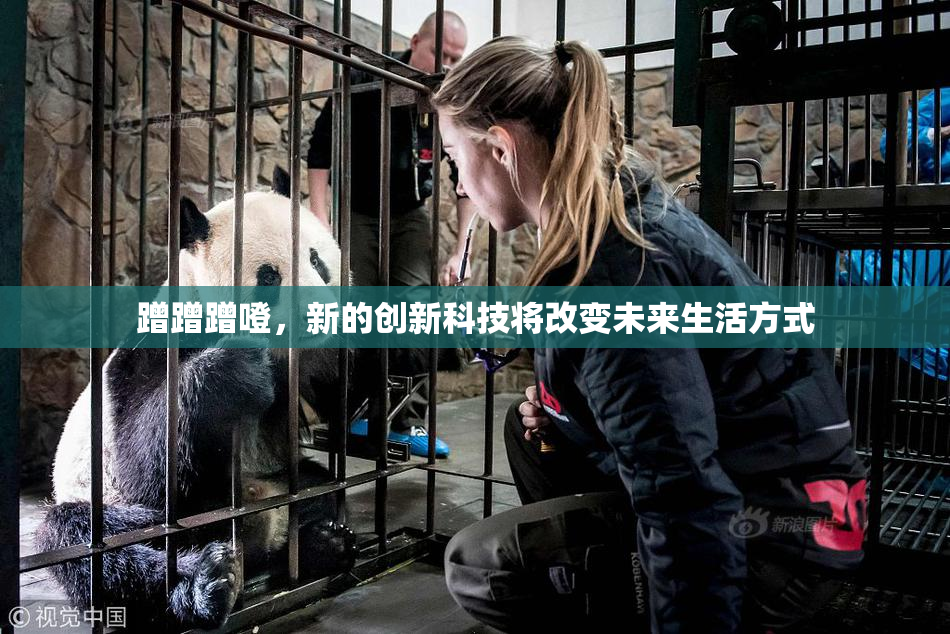 蹭蹭蹭噔，新的创新科技将改变未来生活方式