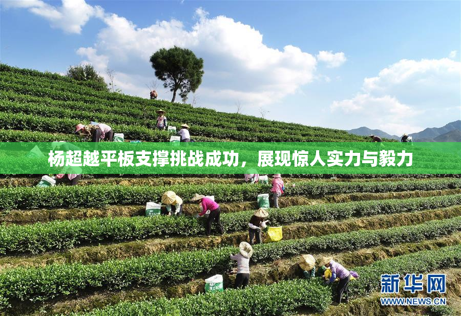 杨超越平板支撑挑战成功，展现惊人实力与毅力
