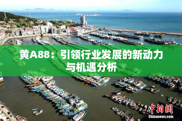 黄A88：引领行业发展的新动力与机遇分析