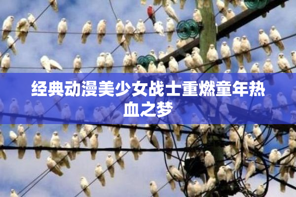经典动漫美少女战士重燃童年热血之梦