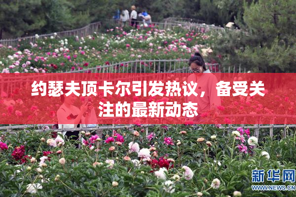 约瑟夫顶卡尔引发热议，备受关注的最新动态