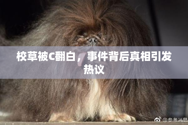 校草被C翻白，事件背后真相引发热议
