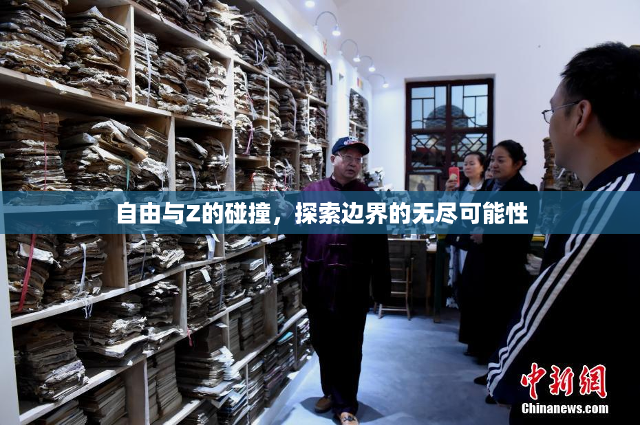 自由与Z的碰撞，探索边界的无尽可能性
