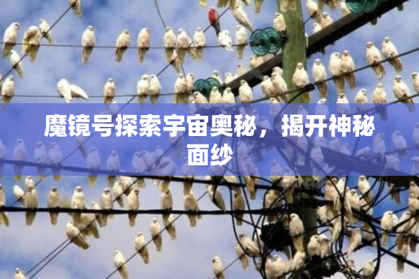 魔镜号探索宇宙奥秘，揭开神秘面纱