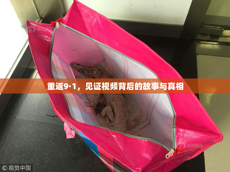 重返9·1，见证视频背后的故事与真相