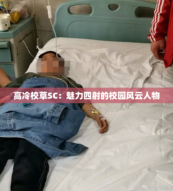高冷校草SC：魅力四射的校园风云人物