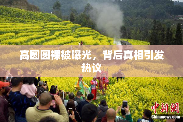 高圆圆裸被曝光，背后真相引发热议