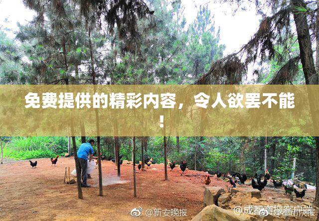 免费提供的精彩内容，令人欲罢不能！