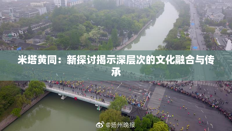 米塔黄同：新探讨揭示深层次的文化融合与传承