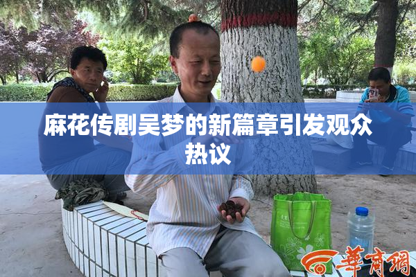 麻花传剧吴梦的新篇章引发观众热议