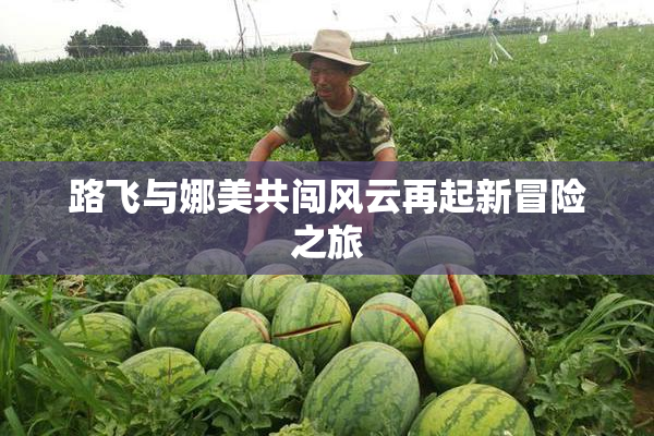 路飞与娜美共闯风云再起新冒险之旅
