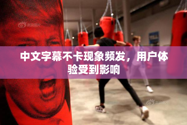 中文字幕不卡现象频发，用户体验受到影响