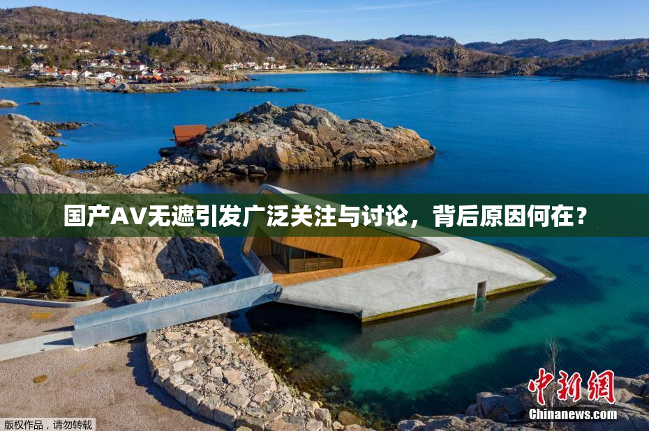 国产AV无遮引发广泛关注与讨论，背后原因何在？