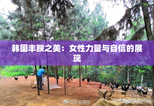韩国丰腴之美：女性力量与自信的展现
