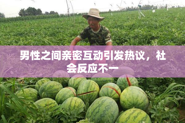 男性之间亲密互动引发热议，社会反应不一