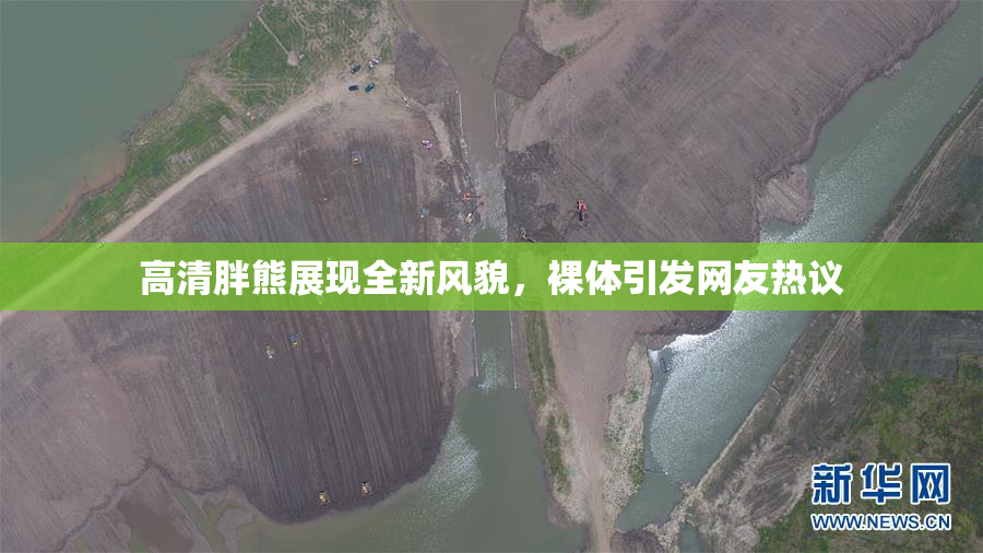 高清胖熊展现全新风貌，裸体引发网友热议