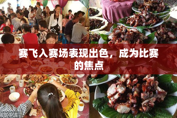赛飞入赛场表现出色，成为比赛的焦点