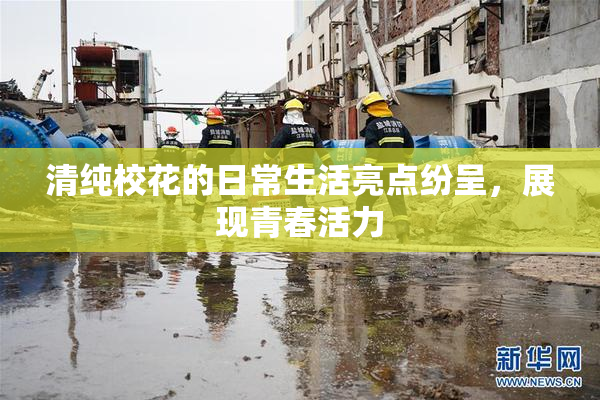 清纯校花的日常生活亮点纷呈，展现青春活力
