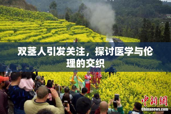 双茎人引发关注，探讨医学与伦理的交织