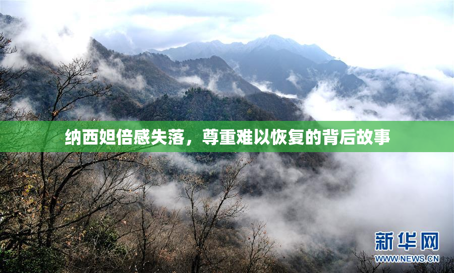 纳西妲倍感失落，尊重难以恢复的背后故事
