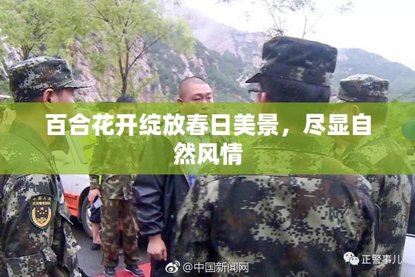 百合花开绽放春日美景，尽显自然风情