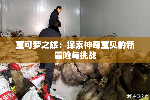 宝可梦之旅：探索神奇宝贝的新冒险与挑战