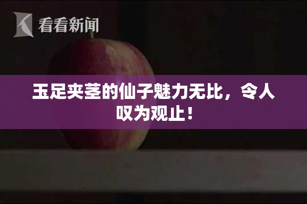 玉足夹茎的仙子魅力无比，令人叹为观止！