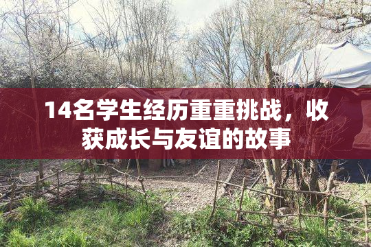 14名学生经历重重挑战，收获成长与友谊的故事