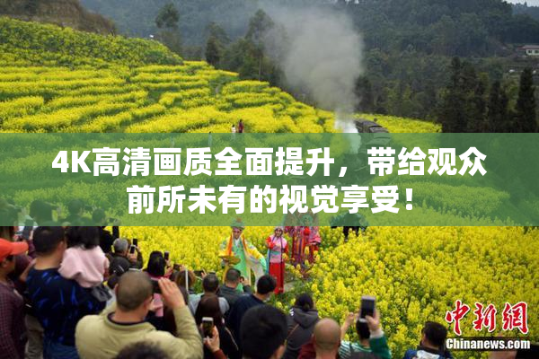 4K高清画质全面提升，带给观众前所未有的视觉享受！