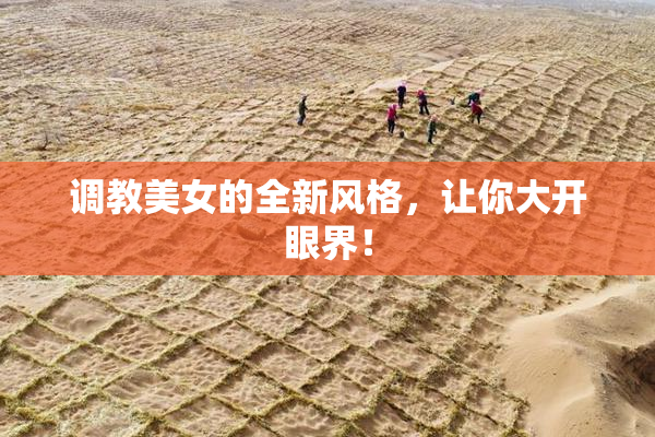 调教美女的全新风格，让你大开眼界！