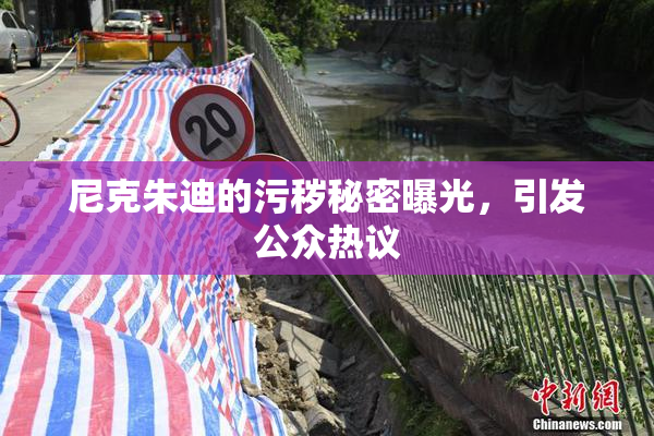 尼克朱迪的污秽秘密曝光，引发公众热议