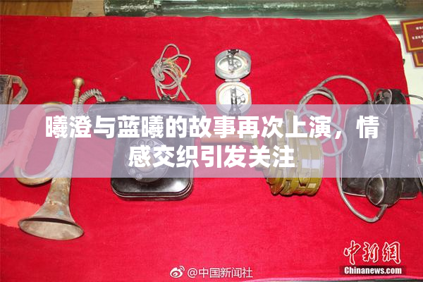 曦澄与蓝曦的故事再次上演，情感交织引发关注