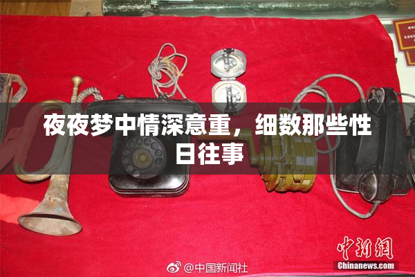 夜夜梦中情深意重，细数那些性日往事