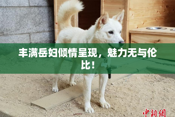 丰满岳妇倾情呈现，魅力无与伦比！