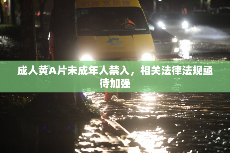 成人黄A片未成年人禁入，相关法律法规亟待加强