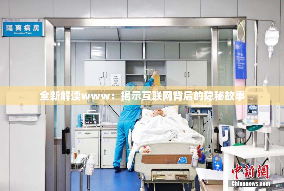 全新解读www：揭示互联网背后的隐秘故事
