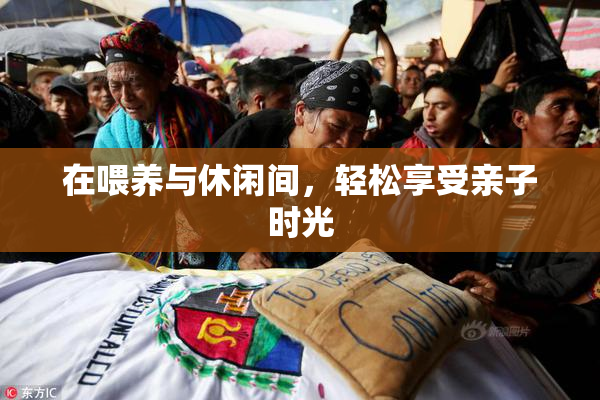 在喂养与休闲间，轻松享受亲子时光