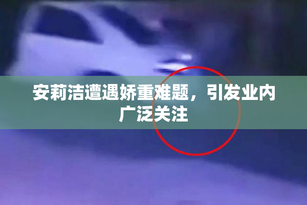安莉洁遭遇娇重难题，引发业内广泛关注