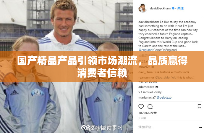 国产精品产品引领市场潮流，品质赢得消费者信赖