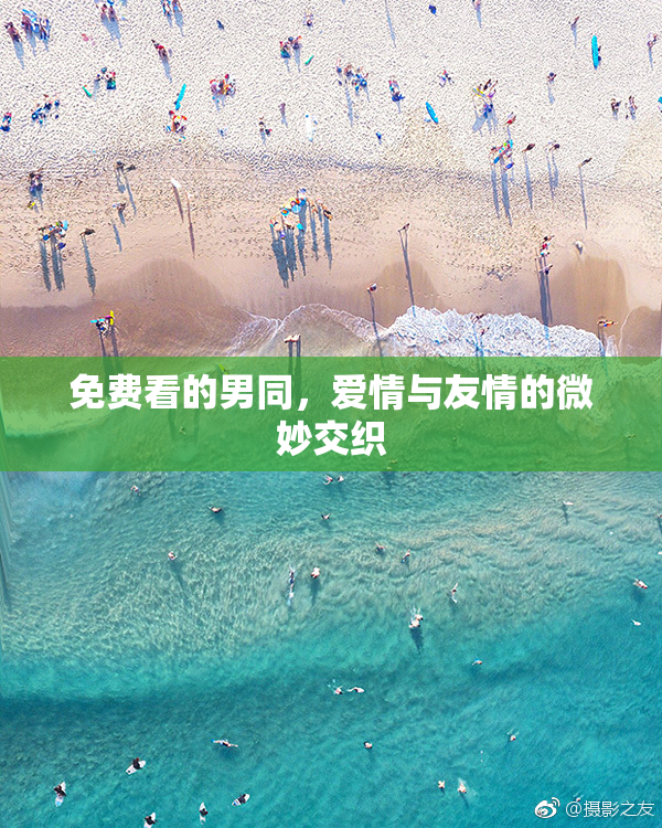 免费看的男同，爱情与友情的微妙交织