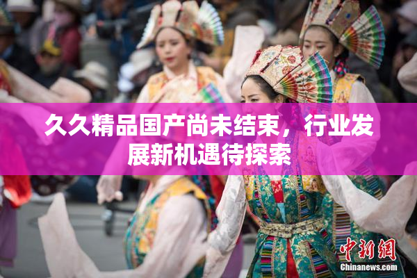 久久精品国产尚未结束，行业发展新机遇待探索