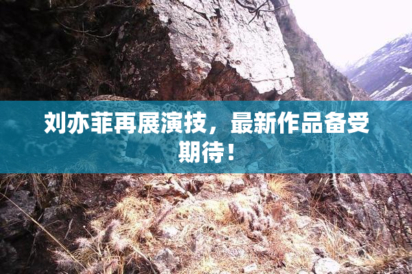 刘亦菲再展演技，最新作品备受期待！