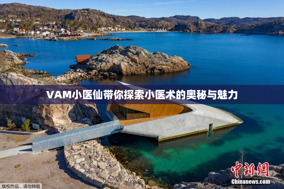 VAM小医仙带你探索小医术的奥秘与魅力