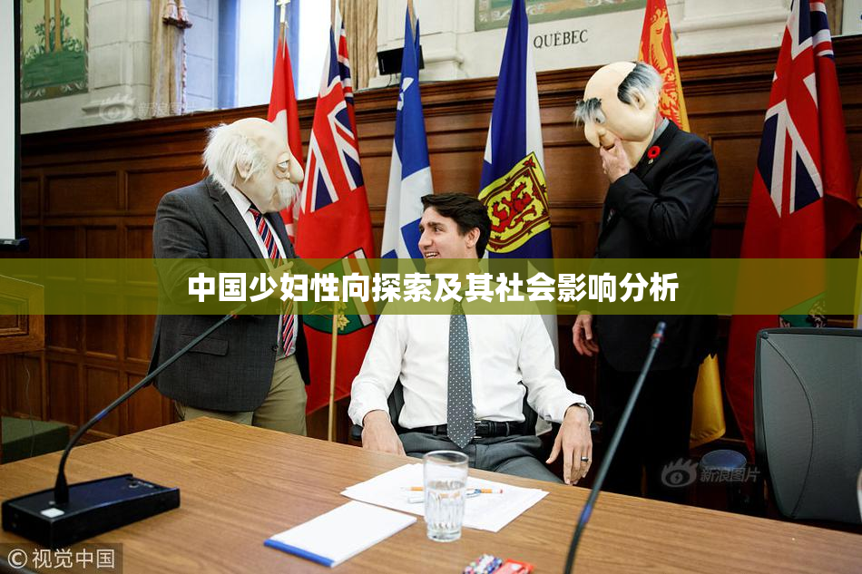 中国少妇性向探索及其社会影响分析