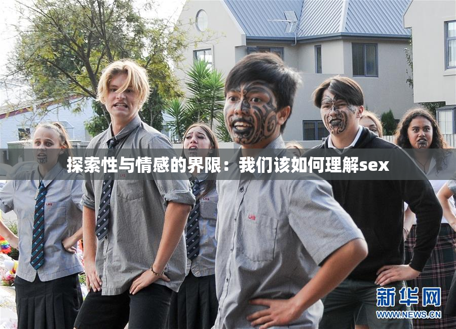 探索性与情感的界限：我们该如何理解sex