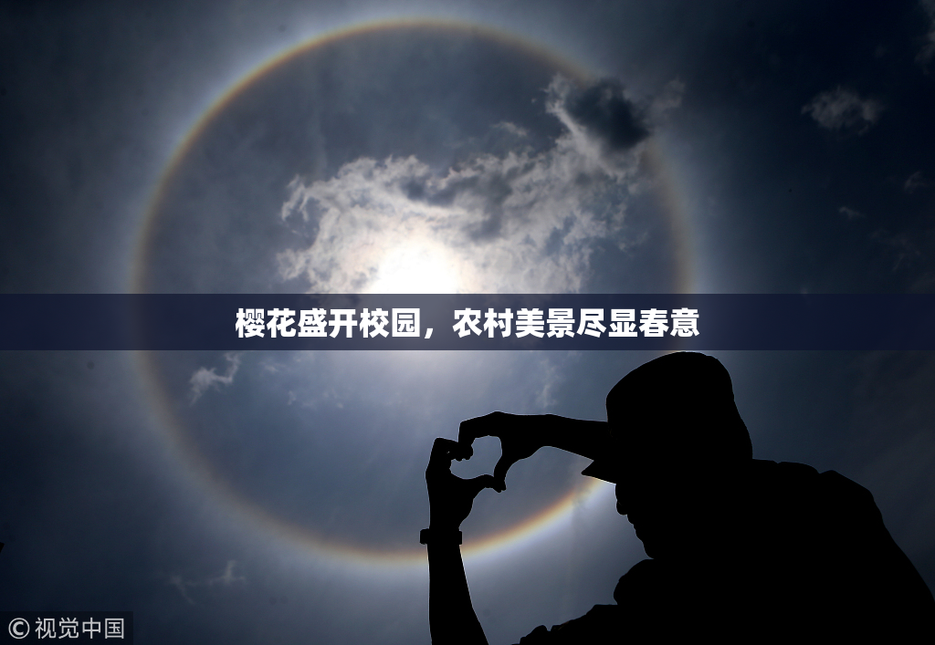 樱花盛开校园，农村美景尽显春意