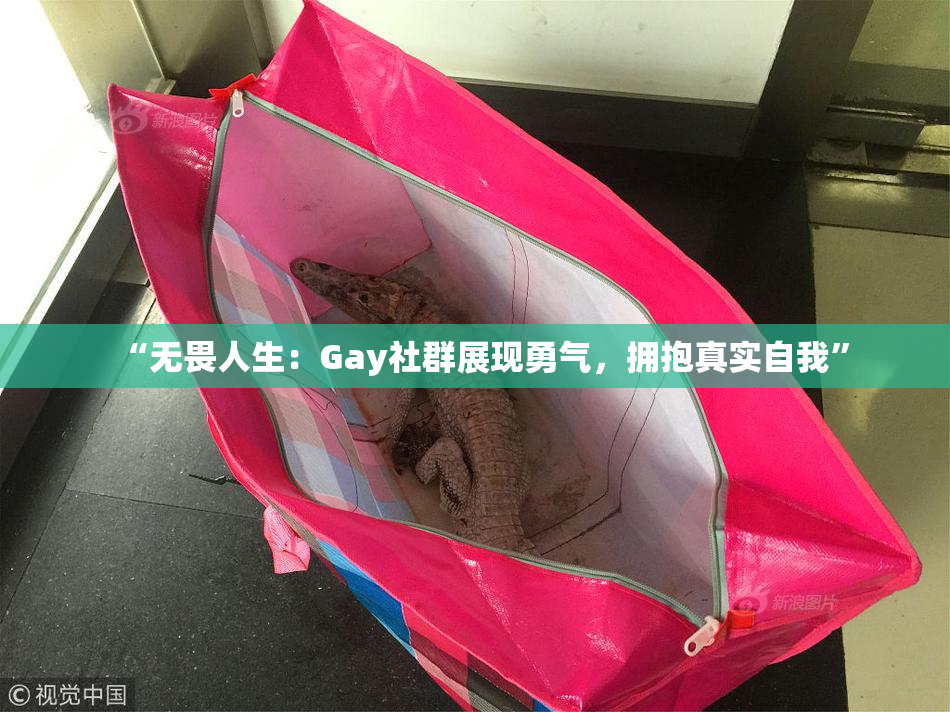 “无畏人生：Gay社群展现勇气，拥抱真实自我”