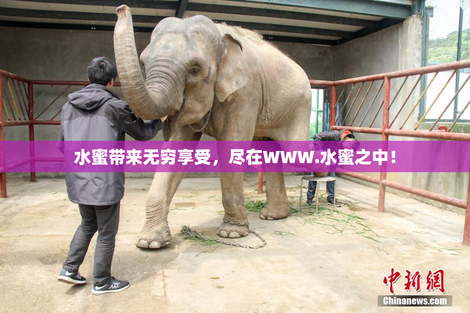 水蜜带来无穷享受，尽在WWW.水蜜之中！