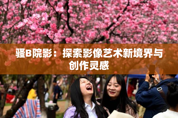 骚B院影：探索影像艺术新境界与创作灵感